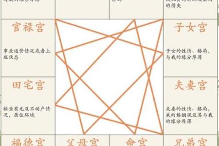 紫微斗数诸星落诸宫之：武曲星官禄宫详解