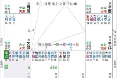 紫薇斗数可以看什么