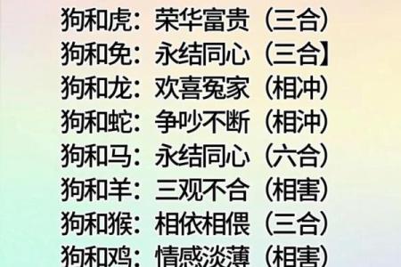生肖婚姻更佳配对表大全