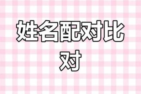 天象文化算姓名配对结果 天象文化姓名配对测试？