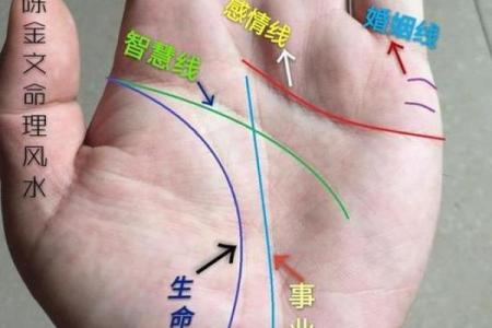 手型算命：水型人的性格与命运