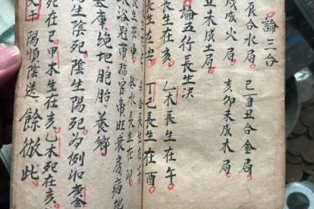 清代写本算命书