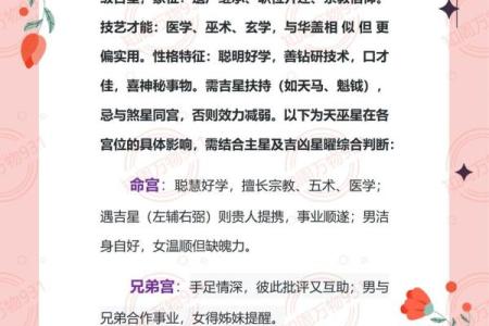 紫微斗数天马星之十二宫释义