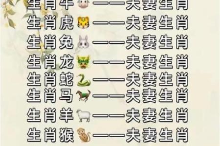 属马和什么属相最配对 属马和什么属相相冲