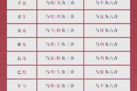 生肖配血型前途最远大TOP3