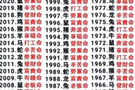 算命给鬼算命