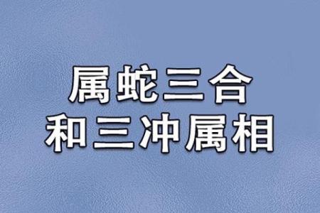 属猴的和属蛇的配对是否合适