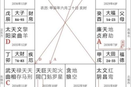 紫微斗数夫妻宫太阴星脸型