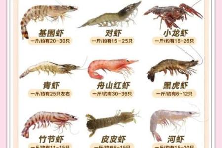风水招财_养虾招财么