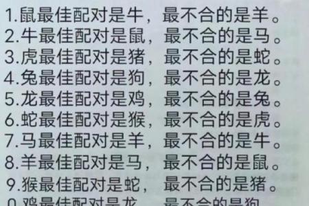 家破人亡的生肖配对在一起