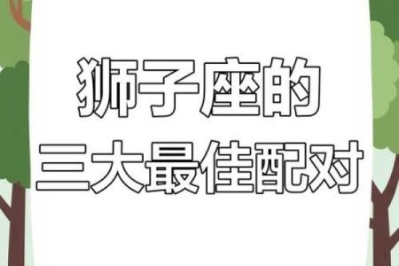 狮子座和什么座最配对女 狮子座和什么座最配对男