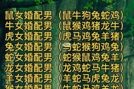 1988年属相是什么生肖配对