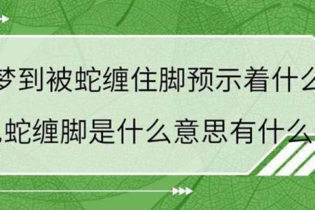 算卦蛇缠牛咬死不放  算命说蛇缠身