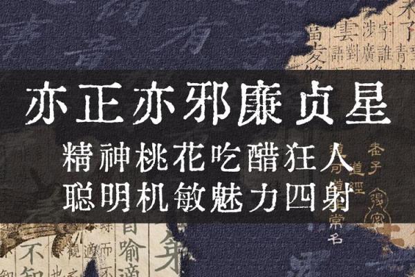 廉贞星坐守官禄宫紫微斗数大成