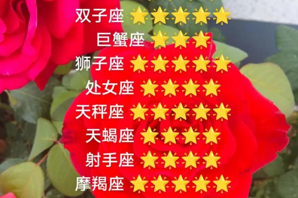 本周最新星座运势白羊座