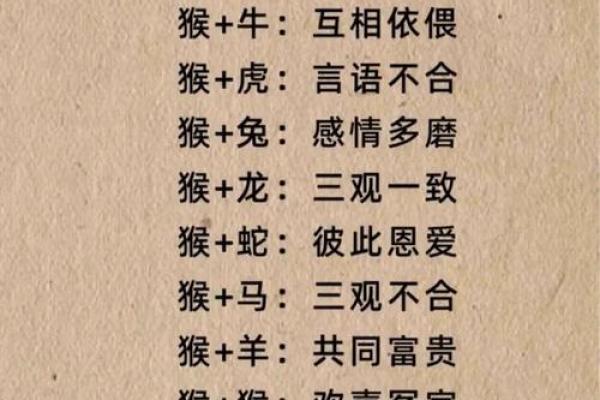 鼠和什么属相配对幸福