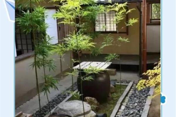 竹子在院子哪个方位好
