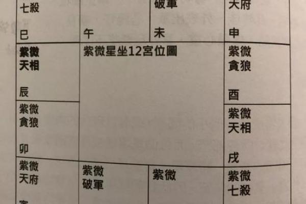紫薇斗数会照什么意思