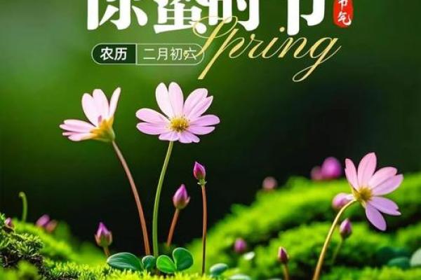 黄历惊蛰是什么意思,运气好命短