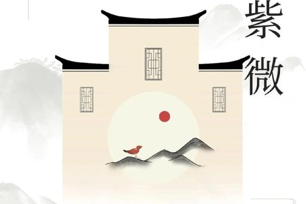 算个紫微斗数 算紫微斗数用什么ai？
