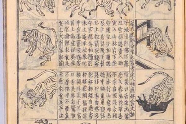 算紫薇斗数网站