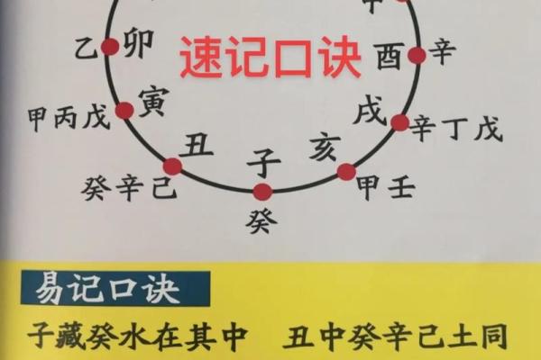 八字四柱是什么意思