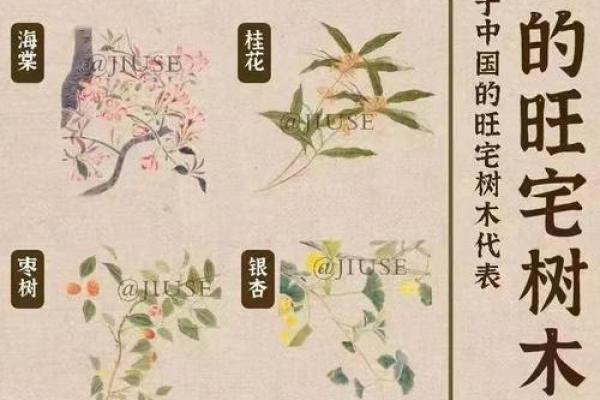 风水房子上长树