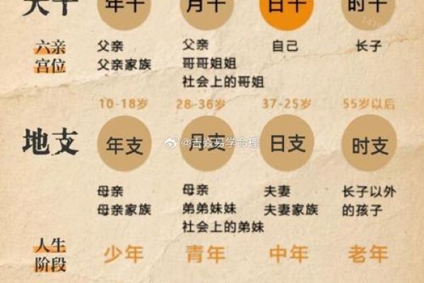 乙卯日柱出生男女八字命运