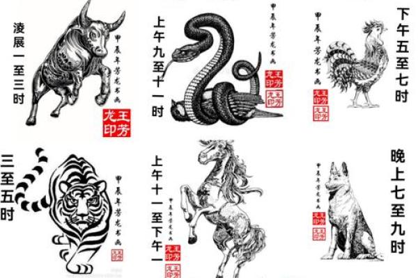 属鼠和属龙的犯冲吗 属鼠和属龙配对合适吗