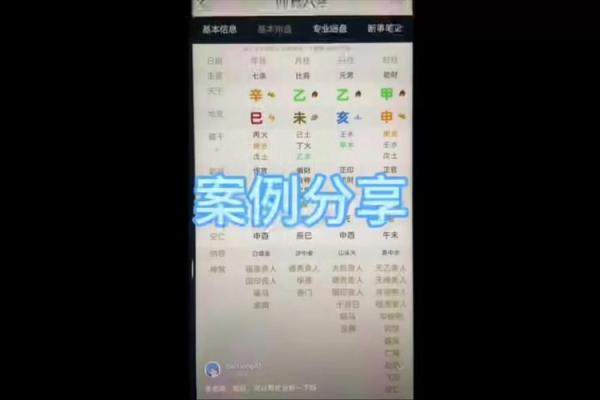 八字视频