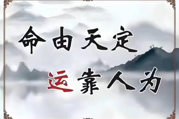 八字视频