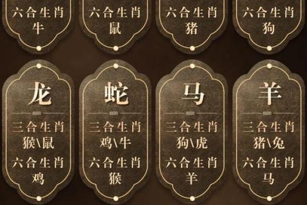 最准的12生肖配对表