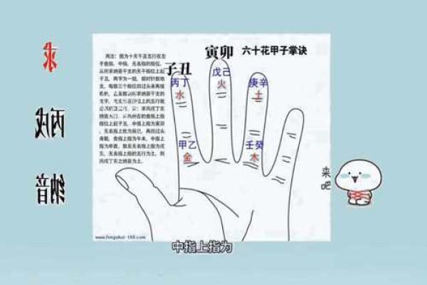 纳音、日主、月令：我的八字是哪个五行？网上说法不一的根据呢？
