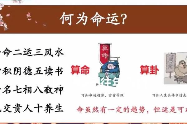 八字读书