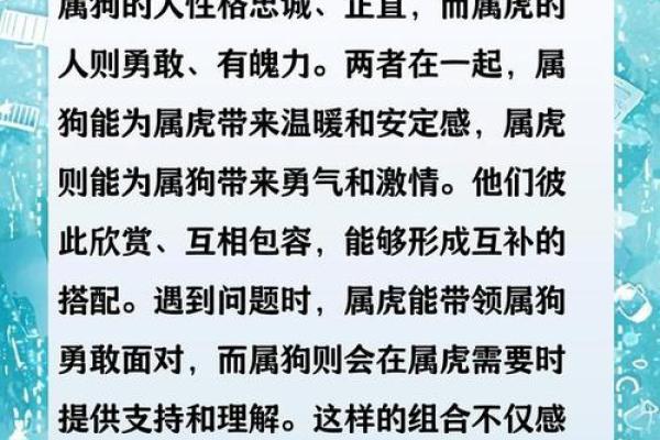 生肖属兔和属狗的合不合 相合配对指数