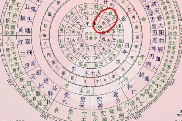 紫薇斗数陀罗在子女