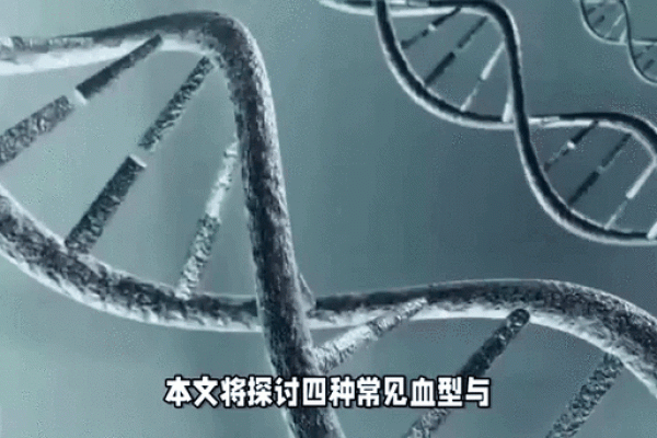 血型可以决定智商吗！哪种血型更容易成为学霸呢