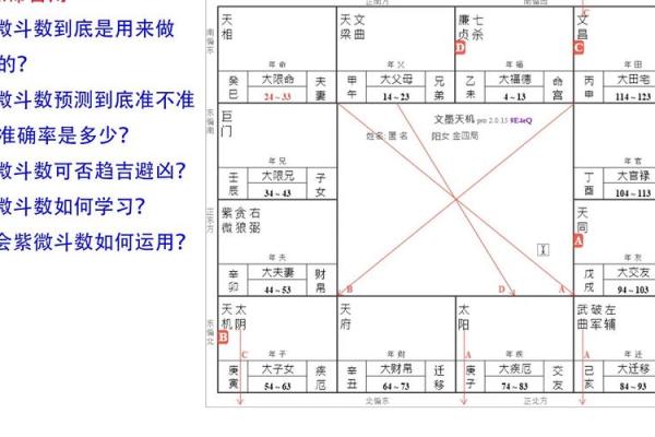 紫薇斗数旺衰