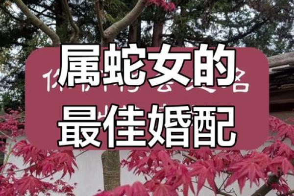 蛇和什么属相配对幸福