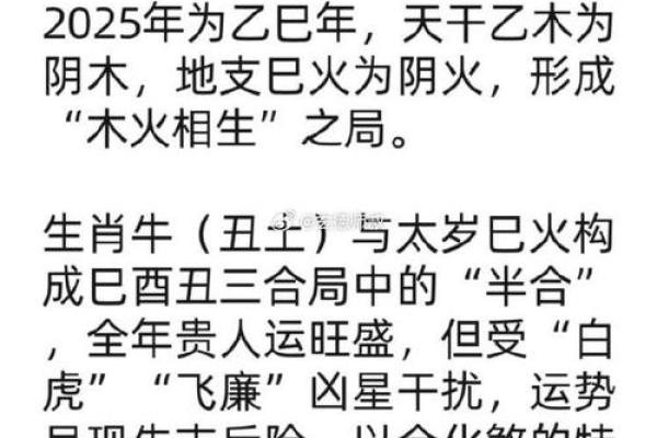 生肖牛父子配对-八个值得一看的组合