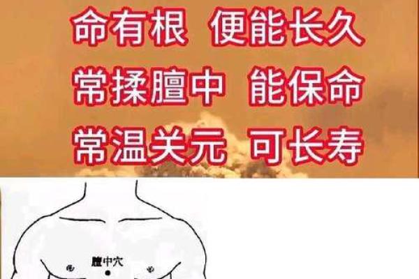 贞字取名吉凶测试图片及解析