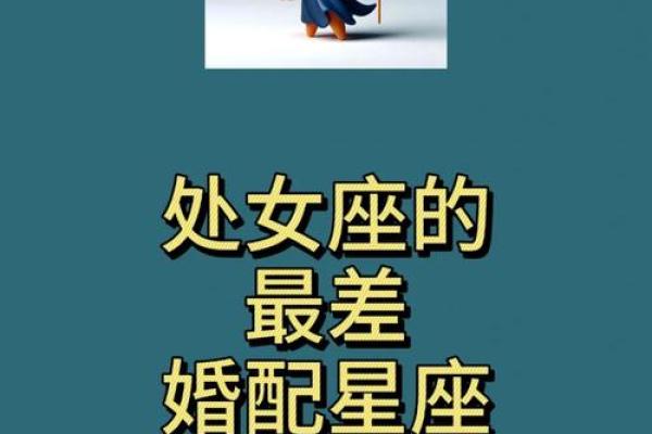 处女座男和什么座最配对,处女座男和什么座最配