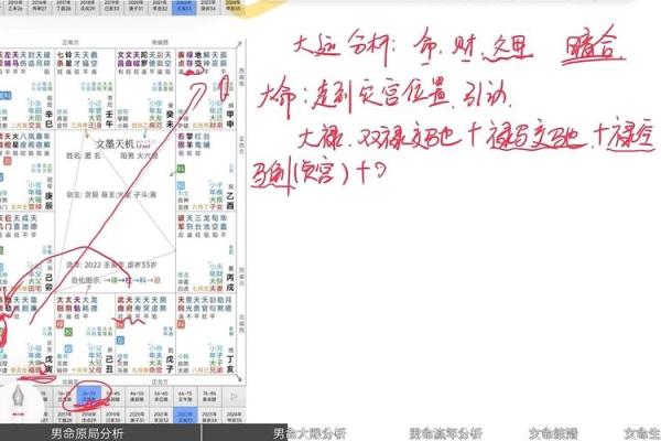 紫薇斗数看流年财富