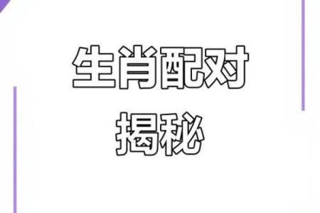 生肖兔配对猴姻缘表 生肖兔和生肖猴配不配？