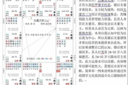 廉贞星坐守官禄宫紫微斗数大成