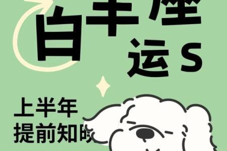 本周最新星座运势白羊座