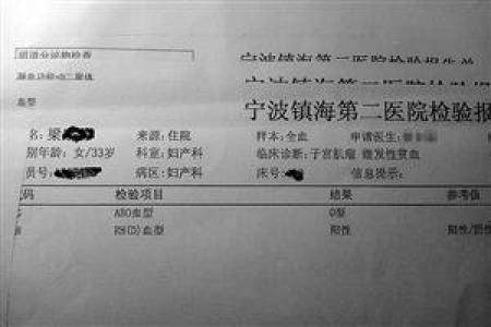 谁是称职老婆的血型女