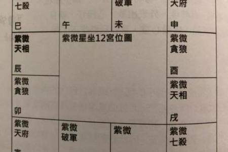紫薇斗数会照什么意思