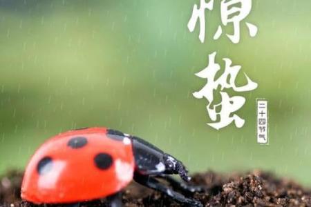 黄历惊蛰是什么意思,运气好命短