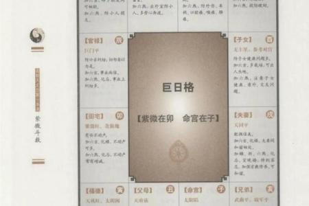 算紫薇斗数网站